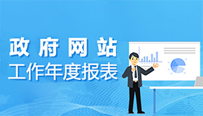 政府網(wǎng)站工作年度報(bào)表